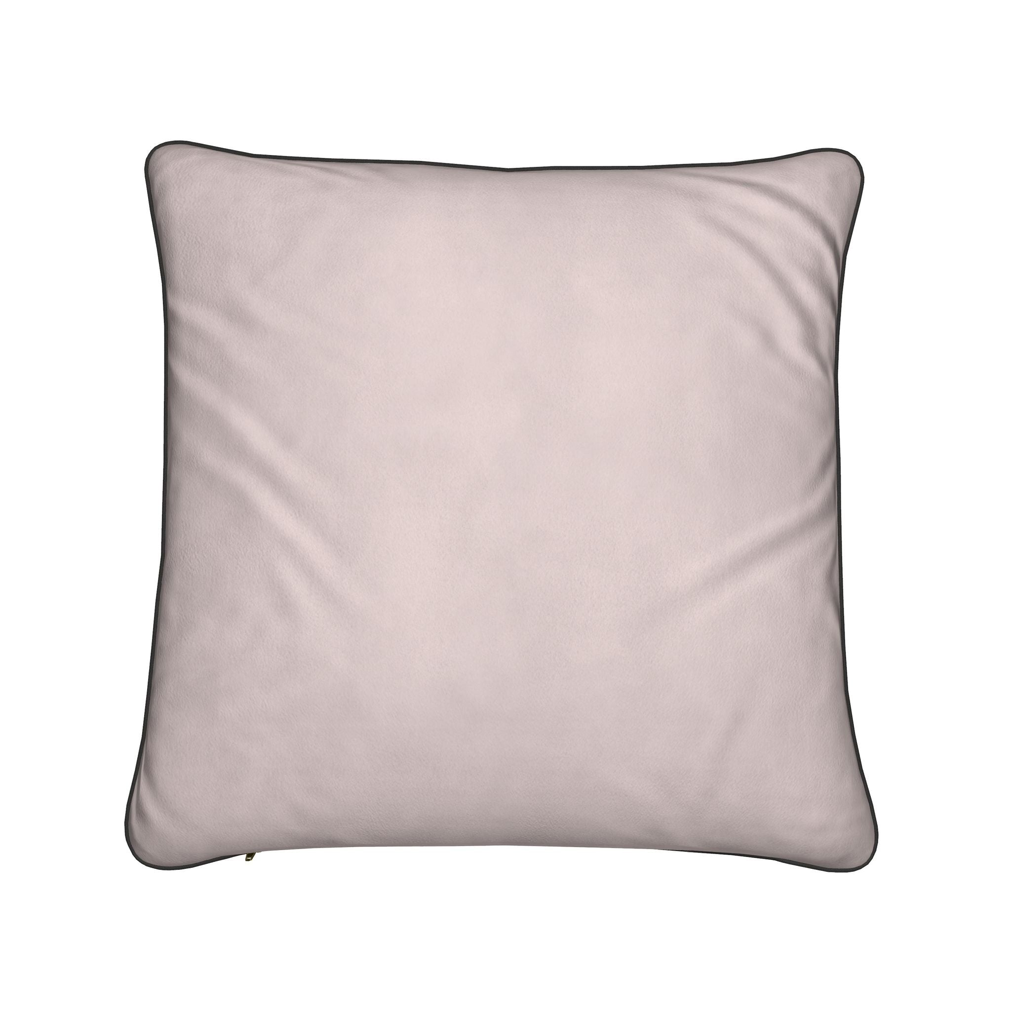 Cushion Cover | Crane of the Cape | Jamaican Mango