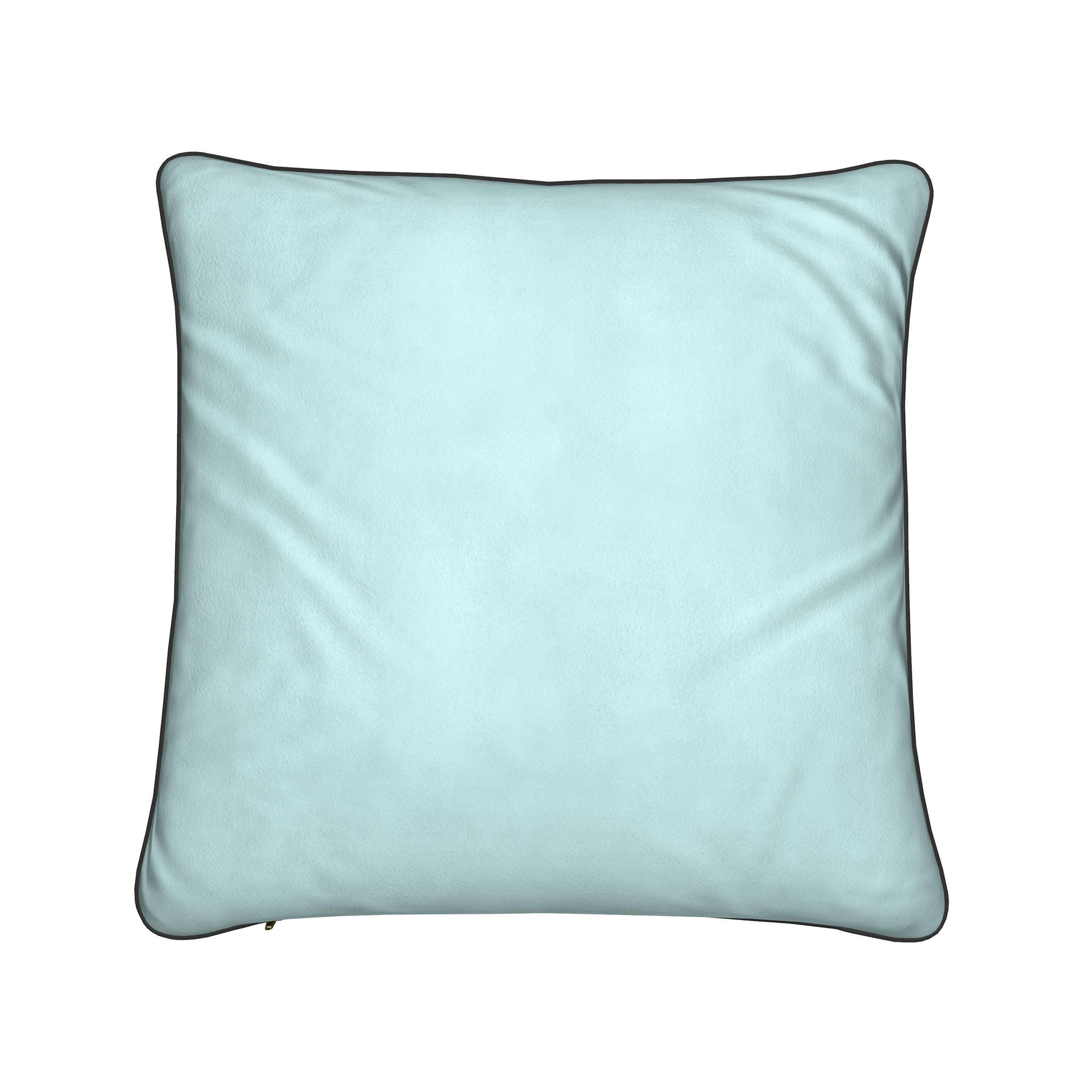 Cushion Cover | Andean Crane of the Cape | Santorini Limestone Blue